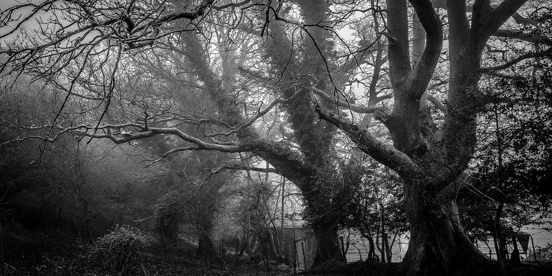 徐州买房新视角：老旧小区改造如何重塑房产价值？加装电梯与社区更新深度解析