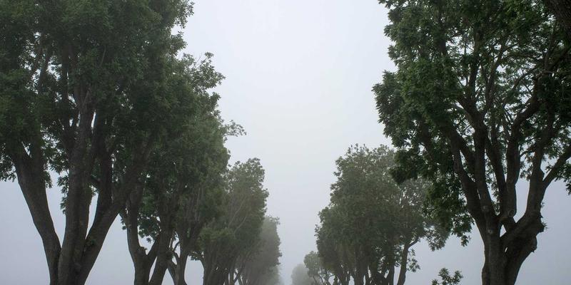 徐州房产传承全解析:继承、赠与还是买卖?税费成本与手续优劣深度对比