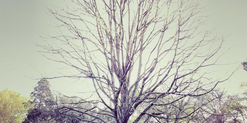 徐州房产自媒体真相调查:从‘阳光城’现象看本地大V的生意经与购房者避坑指南